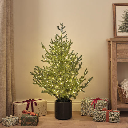 Beleuchteter Weihnachtsbaum im Topf