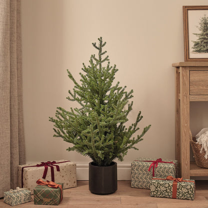 Beleuchteter Weihnachtsbaum im Topf