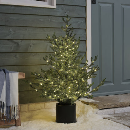 Beleuchteter Weihnachtsbaum im Topf