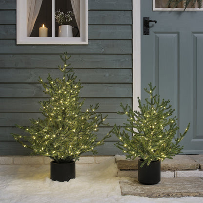 Beleuchteter Weihnachtsbaum im Topf
