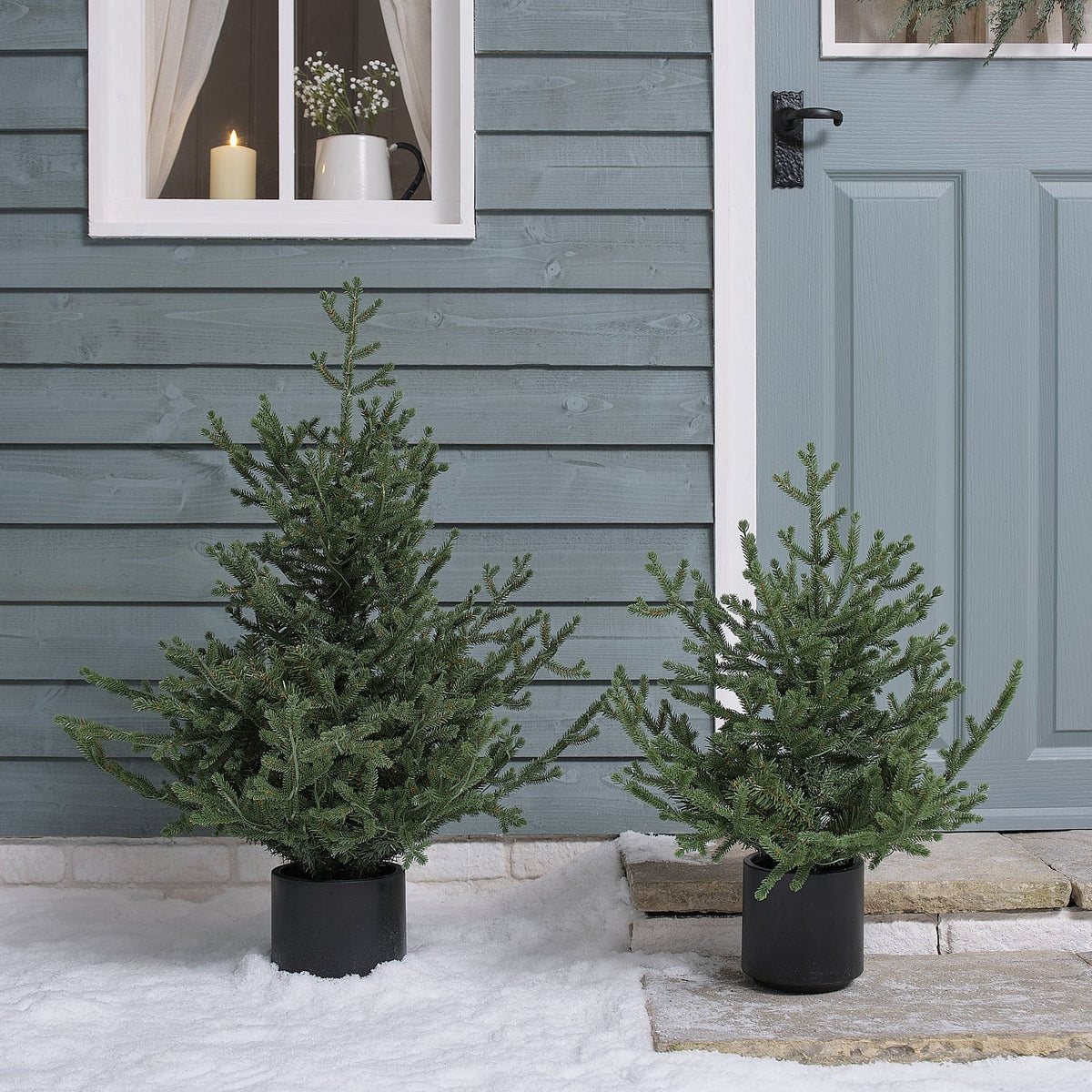 Beleuchteter Weihnachtsbaum im Topf