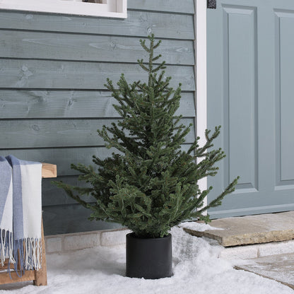 Beleuchteter Weihnachtsbaum im Topf