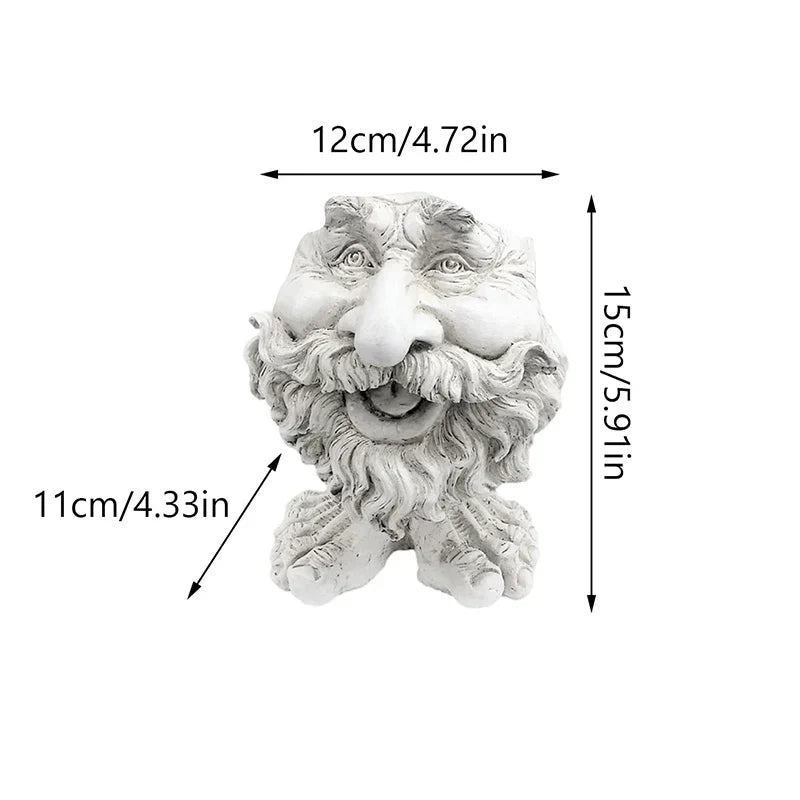 Harz Sukkulenten Pflanztopf mit Gesichtdesign für Zuhause und Büro