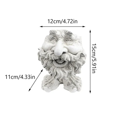 Harz Sukkulenten Pflanztopf mit Gesichtdesign für Zuhause und Büro