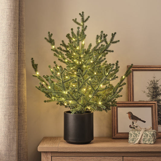 LED-Weihnachtsbaum im Topf