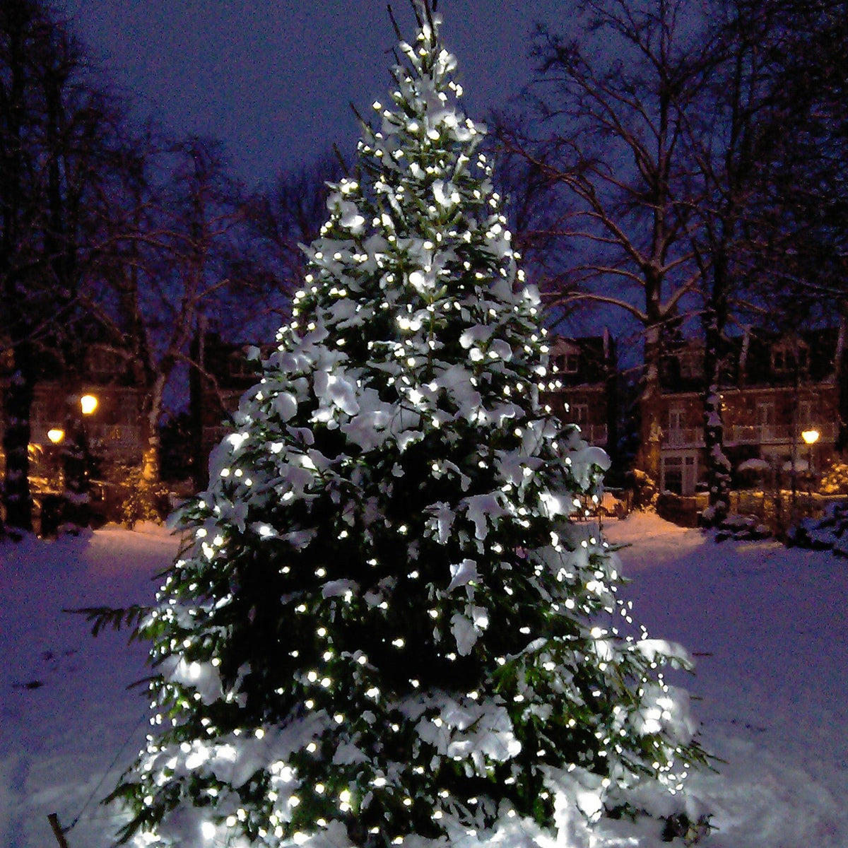Lichternetz LED koppelbar